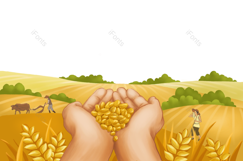 芒种图片,小满元素,秋天PNG,插画免抠素材